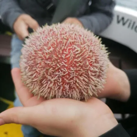 Apartment Village Center 2 Main Street