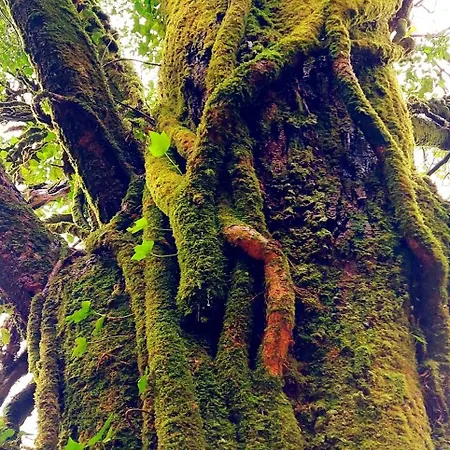 Village Center 2 Main Street גלנגאריף